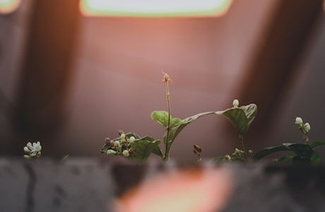 image for Investing as Stewardship