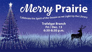Image for Light Up the Library