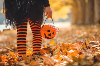 Trick or Treat at Homeview