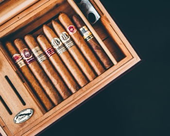 Longest Ash Contest