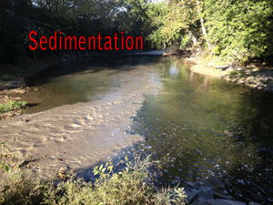 Sedimentation image Sedimentation image
