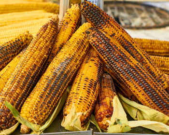 Hopewell Corn Roast