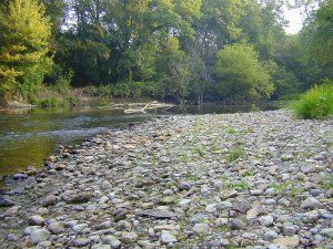 Image of West Fork White River Image of West Fork White River