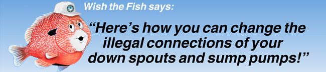 Wish the Fish image Wish the Fish image
