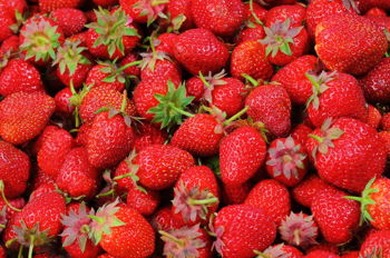 Aberdeen Strawberry Festival Aberdeen Strawberry Festival