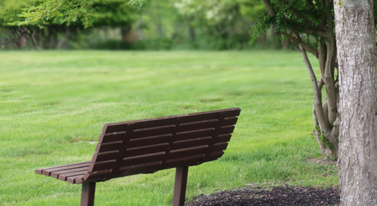 Image for Widowhood: Grief has many faces