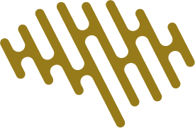 Digital Mastermind Logo for Digital Mastermind