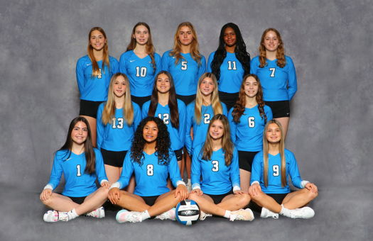 Image for VA Elite 15s Finish 4th Overall at JVA SummerFest