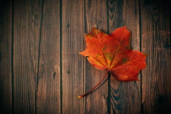 Rocklane Christian Church Fall Fest