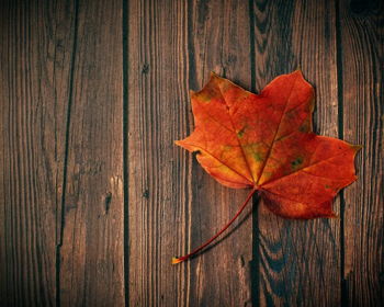 Rocklane Christian Church Fall Fest