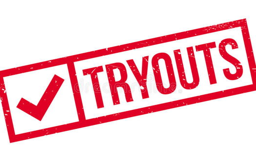 Image for 2021 Tryout Information Posted and Registration Open