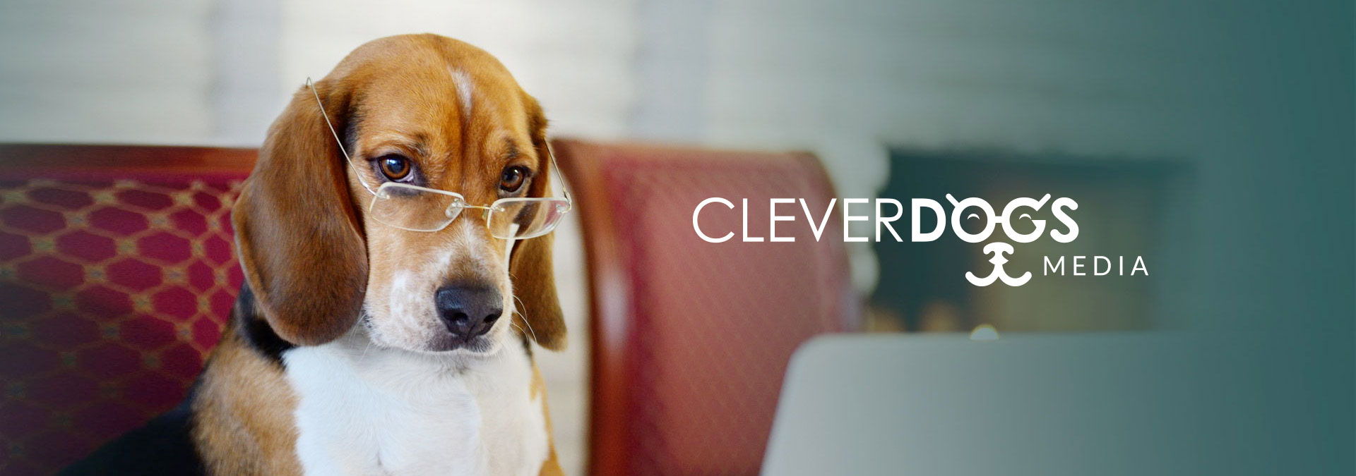 Clever Dogs Media Banner Clever Dogs Media Banner