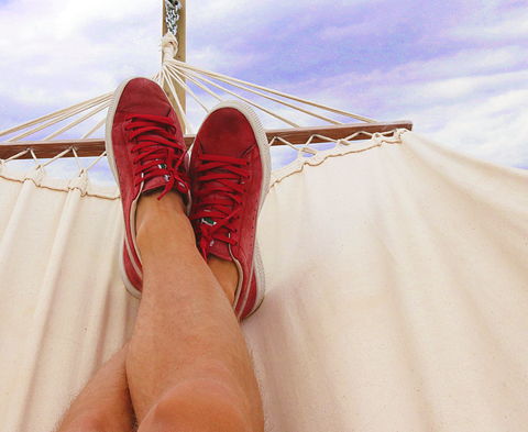 Image for Apply and Fly!