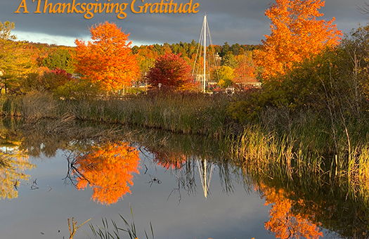 Image for A Thanksgiving Gratitude