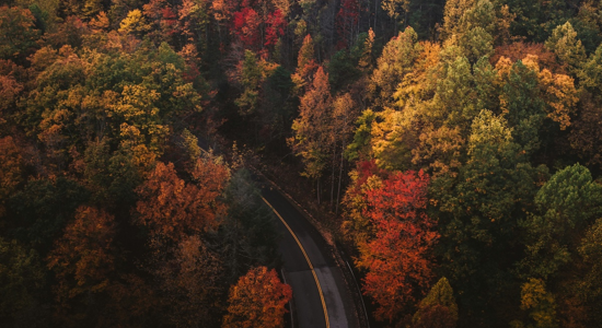 Image for Open Enrollment: Make Your Benefits Work for You This Year