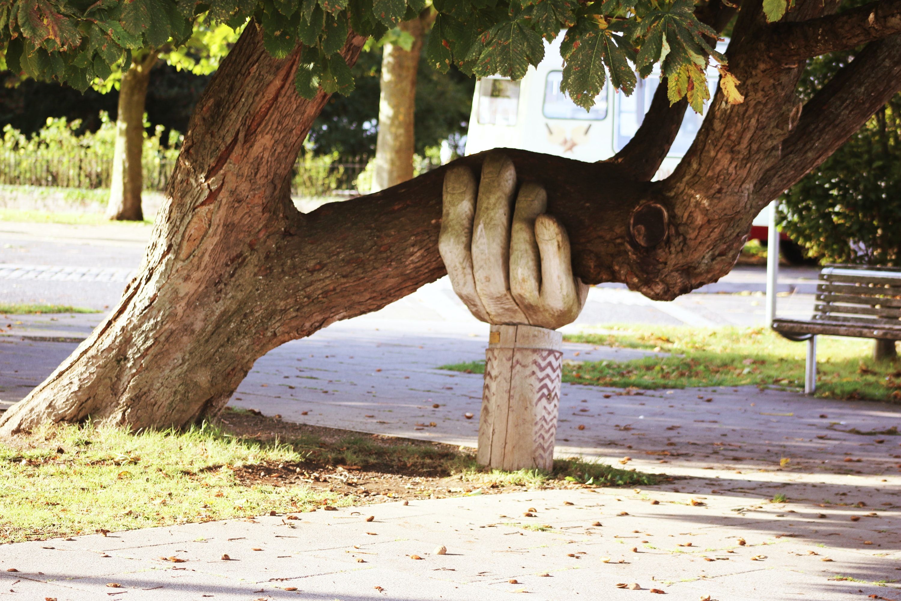 Courtesy of neil-thomas from unsplash Large carved wooden hand holding up a large tree branch