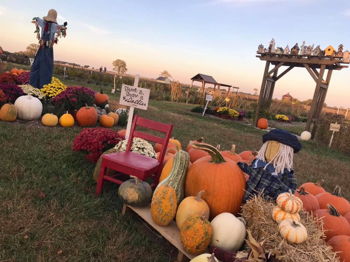 Dollie's Farm fall weekends