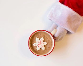 Craft Fair and Breakfast with Santa Craft Fair and Breakfast with Santa