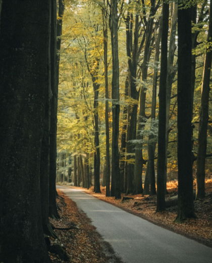 The Retirement Mistake That Steals Joy (And How to Avoid It)