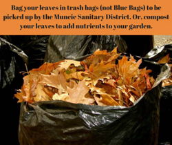 For Immediate Release: Muncie Sanitation Department begins Leaf Pick Up Season Oct 24th