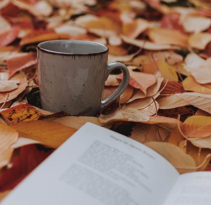 Courtesy of fotografierende viaunsplash Mug and book on a bed of leaves