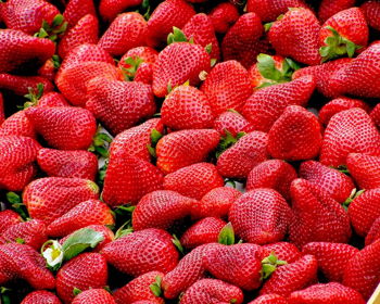 Strawberry Festival and Handmade Market