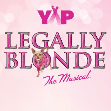 YAP'S LEGALLY BLONDE AUDITIONS Image for YAP'S LEGALLY BLONDE AUDITIONS