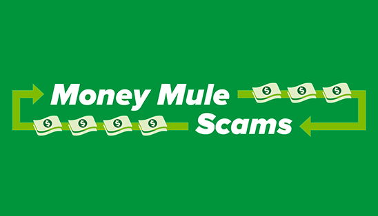 Image for Money Mule Employment Scams