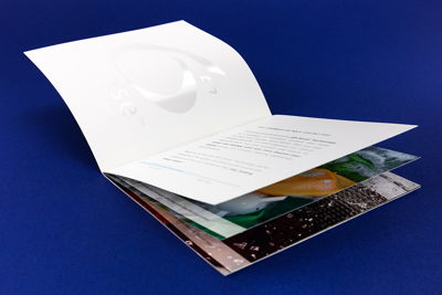 Multi-page Brochure with Gloss Logo