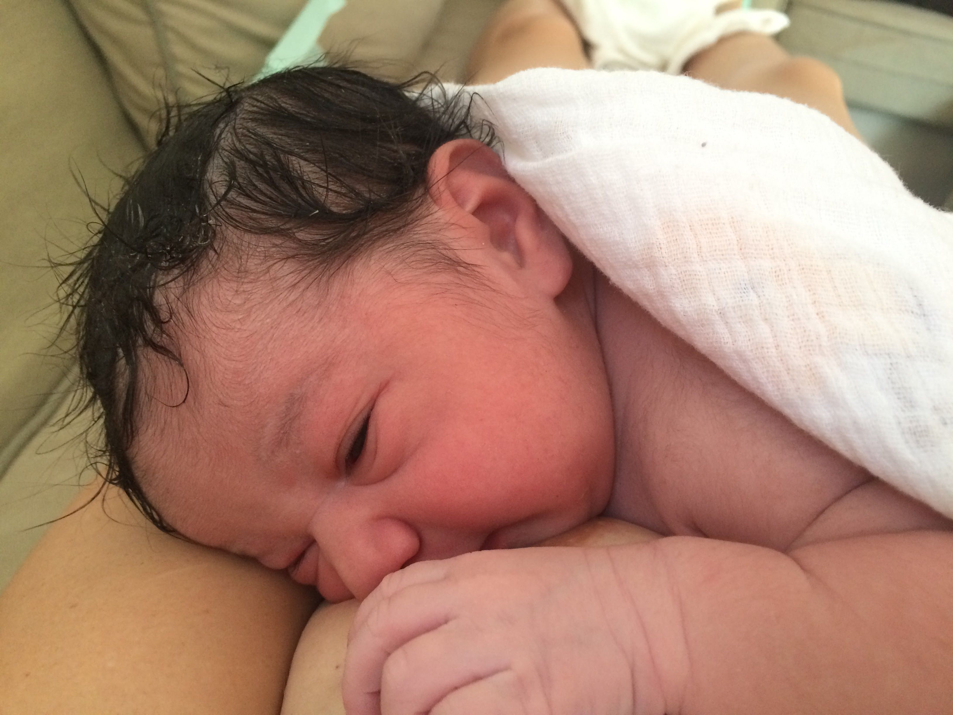 Newborn baby lying on legs, covered with blanket