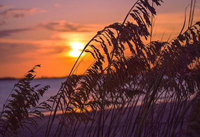 Image for Post-Divorce Financial Planning: Steps to Rebuild Wealth and Secure Your Future
