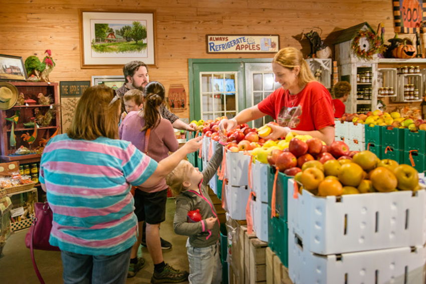 The Apple Works