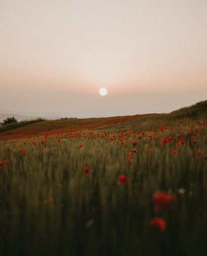 What Is Estate Planning and Why Do You Need It?