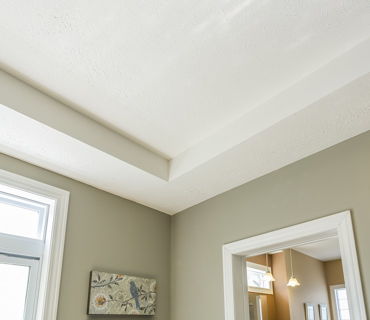 TRAY CEILING