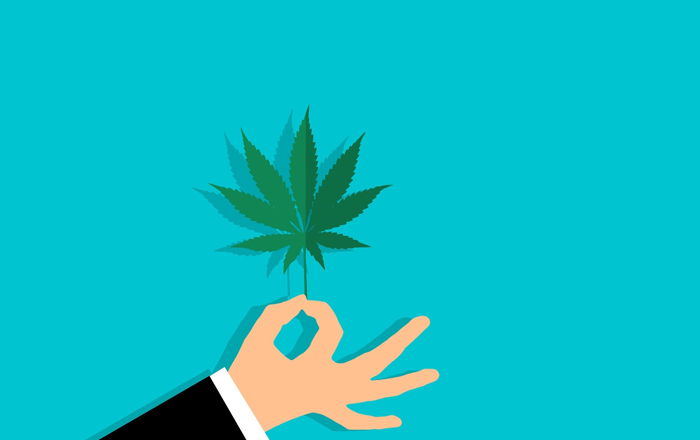 E153: The Cannabis Marketing Industry (Primo PR) Image for E153: The Cannabis Marketing Industry (Primo PR)