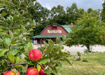 The Apple Works