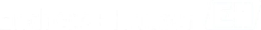 Logo for Endress+Hauser
