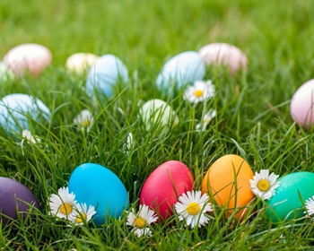 Easter Egg Hunt at First Separate Baptist Church