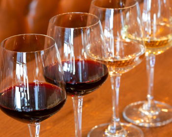 Wine Tasting at Vino Villa