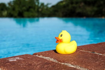 Edinburgh Rubber Duck Regatta