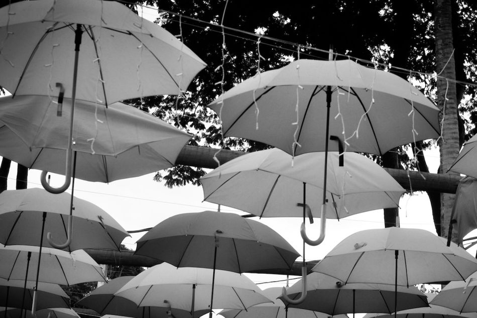 Image for Umbrella Policies