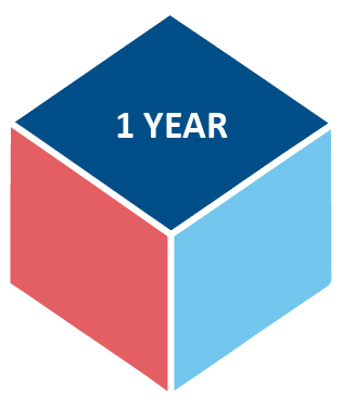 1 year cube icon