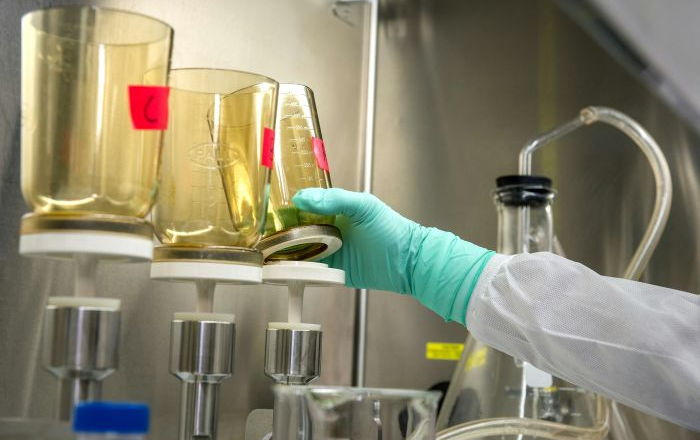 From Scientist to CPA with Emily Haines