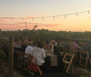 Sunset Vineyard Wine Dinner Sunset Vineyard Wine Dinner