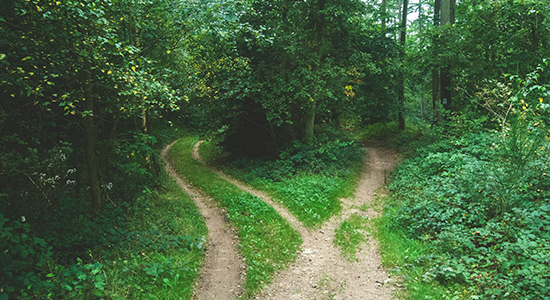 Image for When Should You Claim Social Security Benefits?