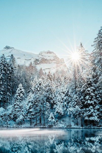 bright sun peeking over snow covered mountains and trees