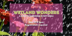 Wetland Wonders: A Guide to Gardening in Wet Areas on May 14 at 6 pm. Registration is required.