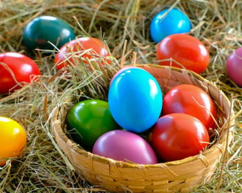 Easter Egg Hunt and Brunch at The Haven Easter Egg Hunt and Brunch at The Haven