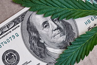 Image for Marijuana: Boondoggle Or Serious Investment?