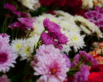 Mother’s Day at Small Town Girl